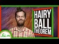 Understanding the Hairy Ball Theorem