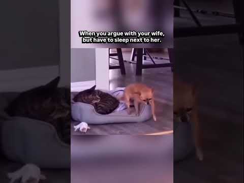 Such a scary moment 🤣🤣 #Fblifestyle