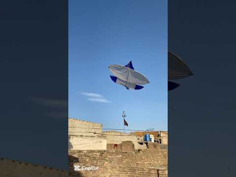 Itni bari patang😱#kite #catch #shorts #ytshorts #trending #viralvideo