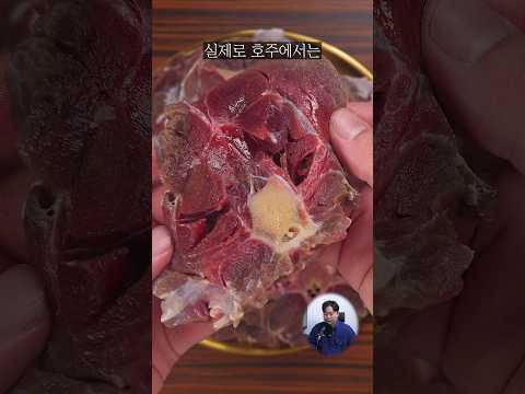 캥거루 고기 인간이 먹을 수 있을까?
