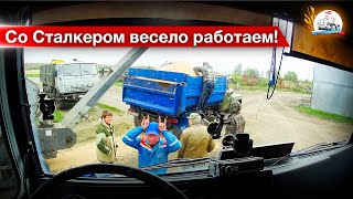 видео
