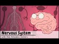 Understanding the Nervous System