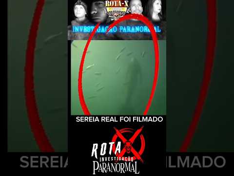 SEREIA REAL FLAGRADO NO MAR #shorts