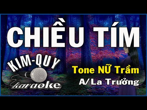 CHIỀU TÍM – KARAOKE – Tone NỮ Trầm ( A/La Trưởng )