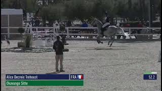 Okavango Sitte  -  CSIYH 6 ans Oliva 2026
