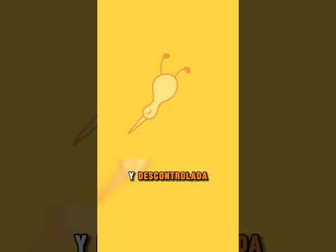 Este pajarito intentaba volar pero...