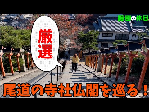 【厳選】尾道の寺社仏閣を巡る【決定版】