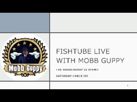 FISHTUBE LIVE_ BRIEF SATURDAY CHECK IN Mobb Guppy’s Fish Demand Views.  Please Subscribe, RING THAT BELL, Comment, Like and Share.  It’