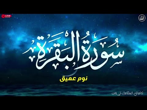 سورة البقرة طاردة الشياطين💚 بصوت هادئ ومريح جدا جدا 💚💤تلاوة هادئة للنوم والراحة النفسية 😴