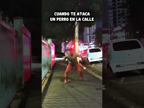 HUMOR: ME CONDUNDI DE ANIMAL (therians)