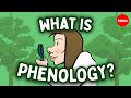 Phenology and Its Ecological Impacts
