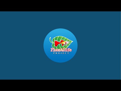 Free Aquatic seminar- We Have Over 40 plant specie Join this channel to get access to perks_
https_//www.youtube.com/channel/UCL5gnqQgvgz_M8apUVQRjMQ/j