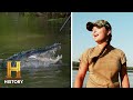 Alligator Hunting Strategy and Teamwork