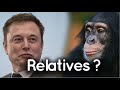 Genetic Relationships Among Primates