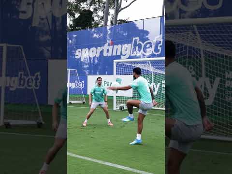 image para ilustrar o artigo