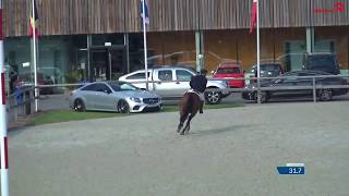 Inaki Van Den Dael (Eros Platiere x Cavalier Royale ) 1m40 CSI** Sentower