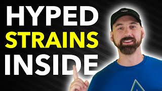 5 Strains That Are Blowing Up — And I’m Growing Them All!
