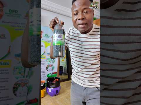 Campeche : La clôture naturelle qui te fait économiser des millions !”#AgricultureRentable #Investir