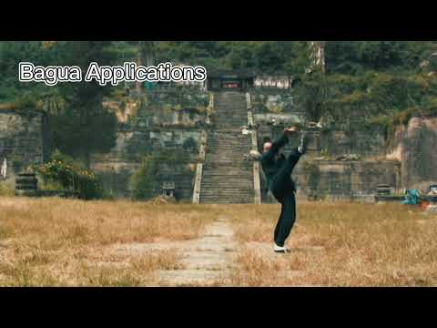 Wudang BaguaZhang Live Stream Classes