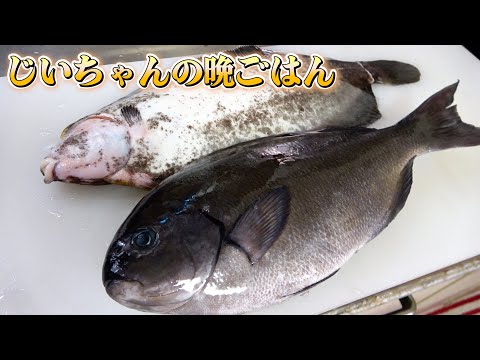【オナガグレとナメタガレイ】絶品煮付けと刺身で100点満点！？
