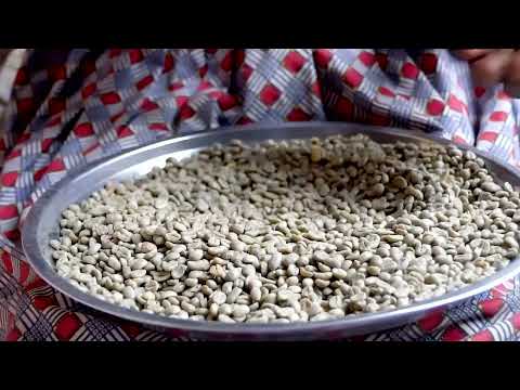 YouTube video thumbnail: Congo Coffee Farmers Warn They're Losing Crops to War 