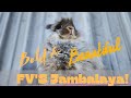 FV's Jambalaya