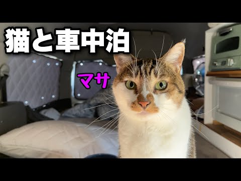 【猫と夏の車中泊旅】長野の道の駅で猫とごはん!