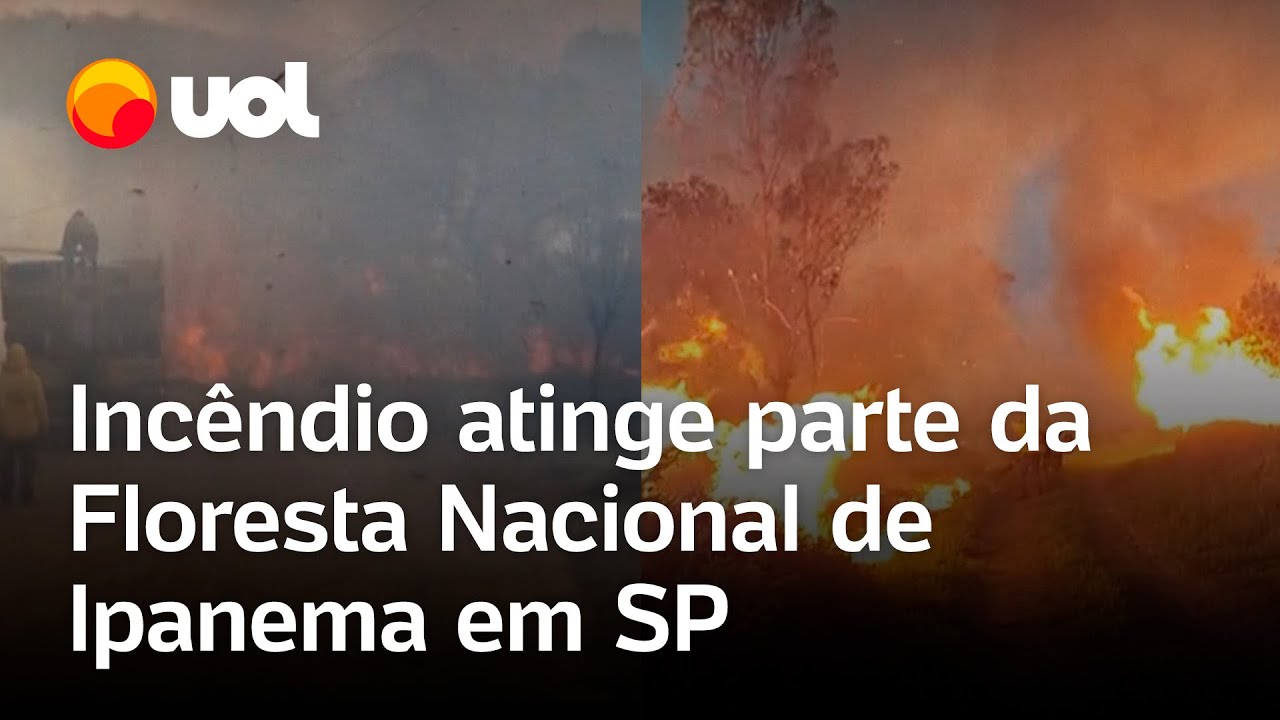 Incêndio atinge a Floresta Nacional de Ipanema e mobiliza bombeiros no interior de SP vídeo