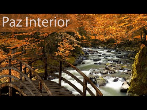 Meditação e Paz de Espirito - Música Relaxante e Sons da Natureza Para Dormir e Relaxar - Estudar