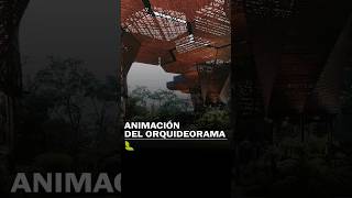 Animación del Orquideorama - Colombia ✅️ #SketchUp #LINEStudio