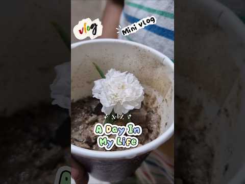 Friday k din helper ki chutti hoti hai | Bache banarain the ghar me pizza #minivlog #shorts