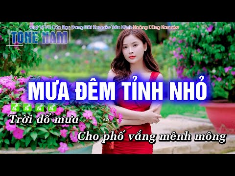 Karaoke Mưa Đêm Tỉnh Nhỏ (Tone Nam) Beat Công Tuấn cực hay – Hoàng Dũng Karaoke