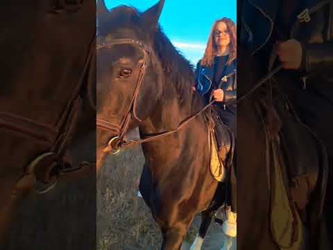 Романтика для двох 🔥💫❤️ 2025 р. #horse #прогулкаполесу