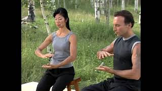 Gaiam - Qigong for Stress Relief (2005)
