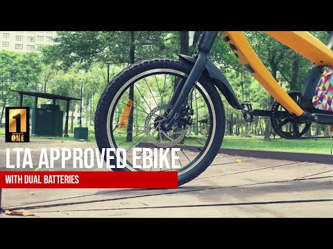 Introducing the first LTA approved electric bicycle with dual batteries | MOBOT OVO