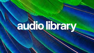 Upbeat Tropical Electronic Music for Travel Vlogs 🌴 (No Copyright) | tubebackr - Amazonica