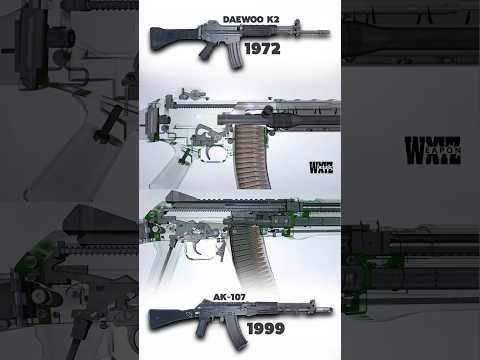 ASSAULTS RIFLE: Daewoo K2 Hybrid Bolt VS Balanced Action AK-107