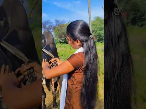 jallikattu love ? Theni jallikattu official #shorts