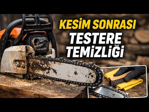 KESİM SONRASINDA MOTORLU TESTERE TEMİZLİĞİ NASIL YAPILIR