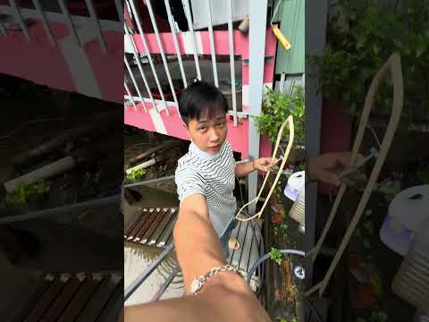 Nge ngo của Trần Phi Hùng 😅 #ghengo #tranphihung #ghengomini