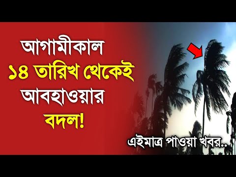 আবহাওয়ার খবর আজকের, 11 February 2025, Bangladesh Weather Report