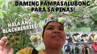BUHAY AMERIKA ANDAMING PAMPASALUBONG SA PINAS! ANLAKI NA NG BLACKBERRIES