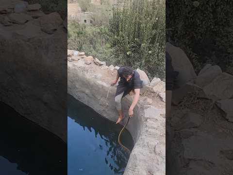 امساك أخطر الثعابين الكوبرا القاتله وأكثرها فتكن