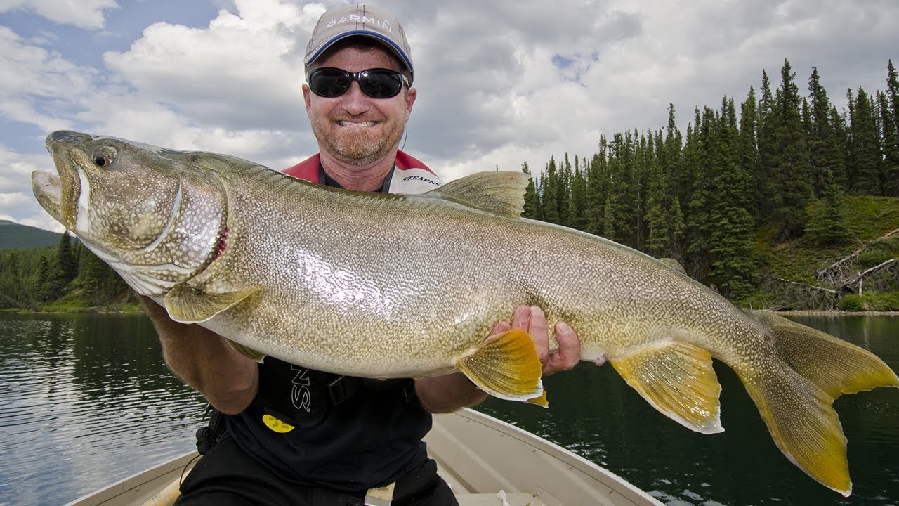 Catching Giant BC Lake Trout - The Fishing Canada Show