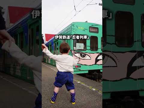 【イベント情報あり💡】GWは伊賀上野に家族で出かけよう🏯✨