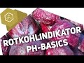 rotkohlindikator-ph-basics/