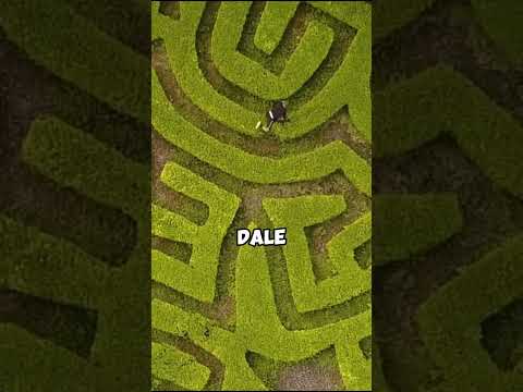 ¡CÓMO ESCAPAR DE UN LABERINTO DE ESPEJOS!😱