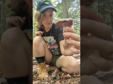 I wish I was in the UP right now 🥹🥹🍄🍄#michigan #upperpeninsula #mycology #mushroomhunting #mushrooms