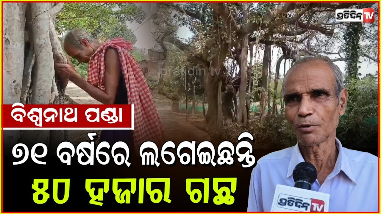 କର୍ମୀ ହିଁ ଜୀବନ, ଗଛ ହିଁ ଜୀବନ , ପ୍ରକୃତି ପ୍ରେମୀ ବିଶ୍ଵନାଥ ପଣ୍ଡା। Tree lover of Jajapur.