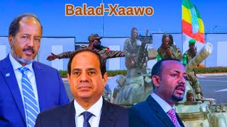 Daawo War cusub Ciidamada Wadanka Masar O Beledxaawo Degaaya 10kun O Askari iyo itoobiya o dagaal ku